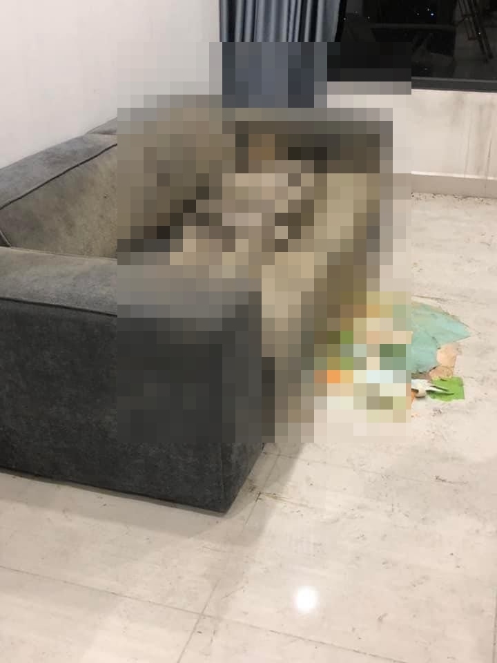 Phát hiện "thi thể khô" trên ghế sofa trong căn hộ chung cư ở Hà Nội