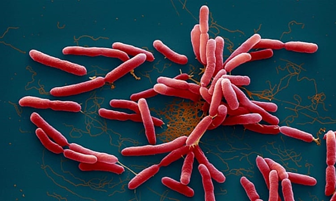 Phát hiện bệnh nhân nhiễm "vi khuẩn ăn thịt người" tại thành phố Buôn Ma Thuột