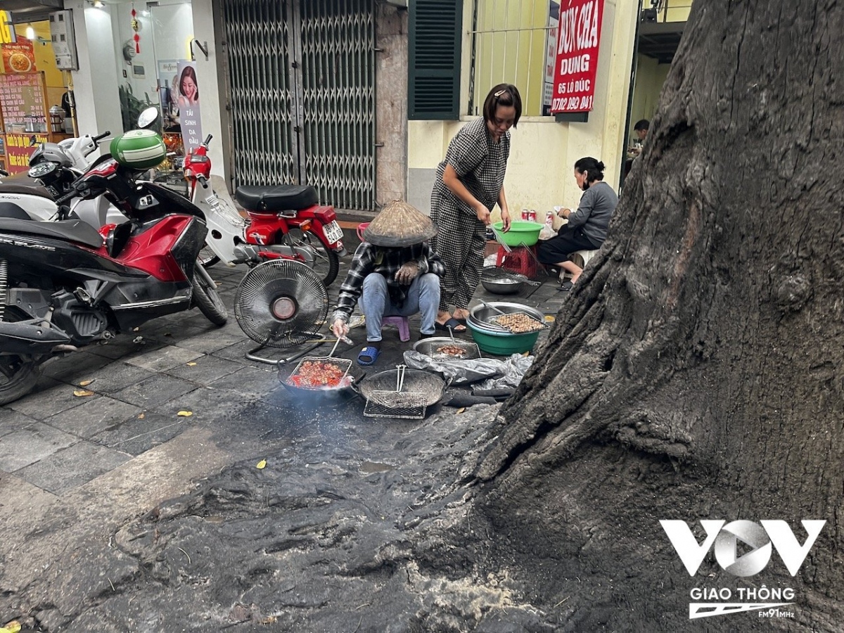 Cây xanh ở Hà Nội đang bị đối xử như thế nào?