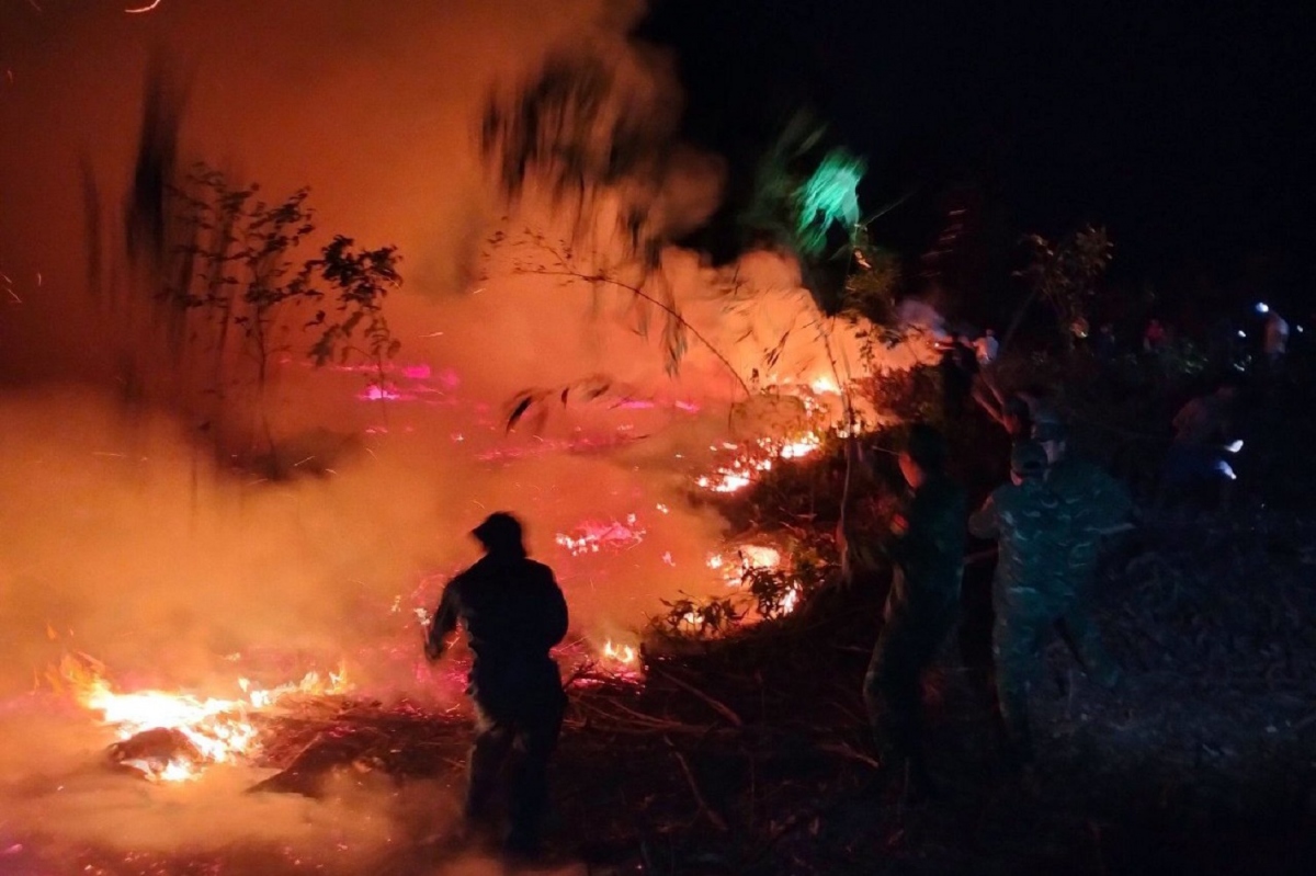 Dập tắt cháy rừng tràm ở Lăng Cô, Thừa Thiên Huế