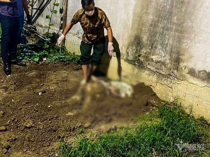 Phát hiện thi thể thiếu nữ 15 tuổi bị chôn lấp trong vườn chuối ở Hải Phòng