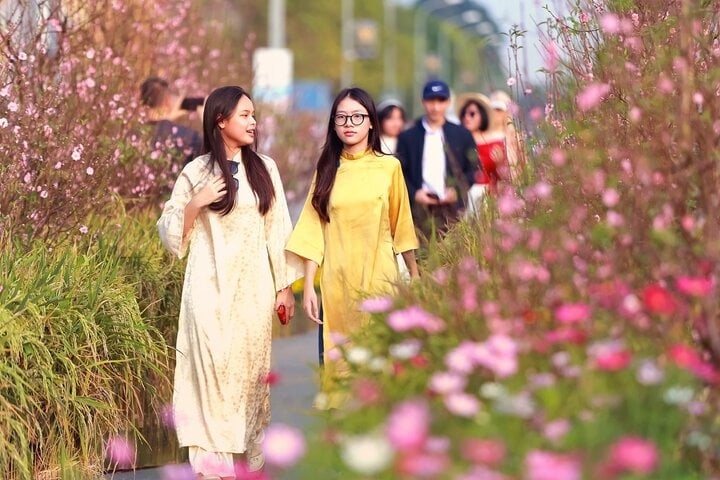 Trải nghiệm không khí Tết tại đường hoa Home Hanoi Xuan 2024