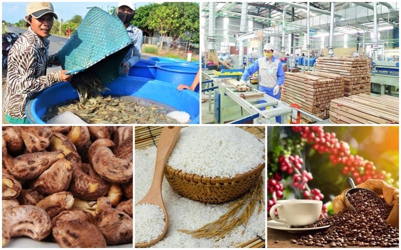 Làm thế nào đưa nông, lâm, thủy sản của Việt Nam đến thị trường quốc tế?