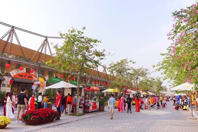 Pont de Long Bien: Không gian văn hoá sáng tạo cùng đường hoa Home Hanoi Xuan