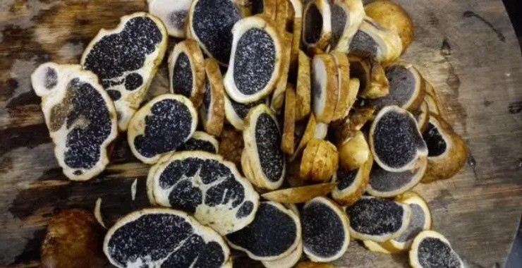 Loại nấm đen sì tưởng là đồ bỏ đi nhưng có hương vị thơm ngon đặc biệt