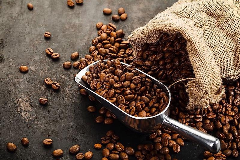 Giá cà phê hôm nay 25/9: Giá cà phê Robusta, Arabica tiếp tục tăng