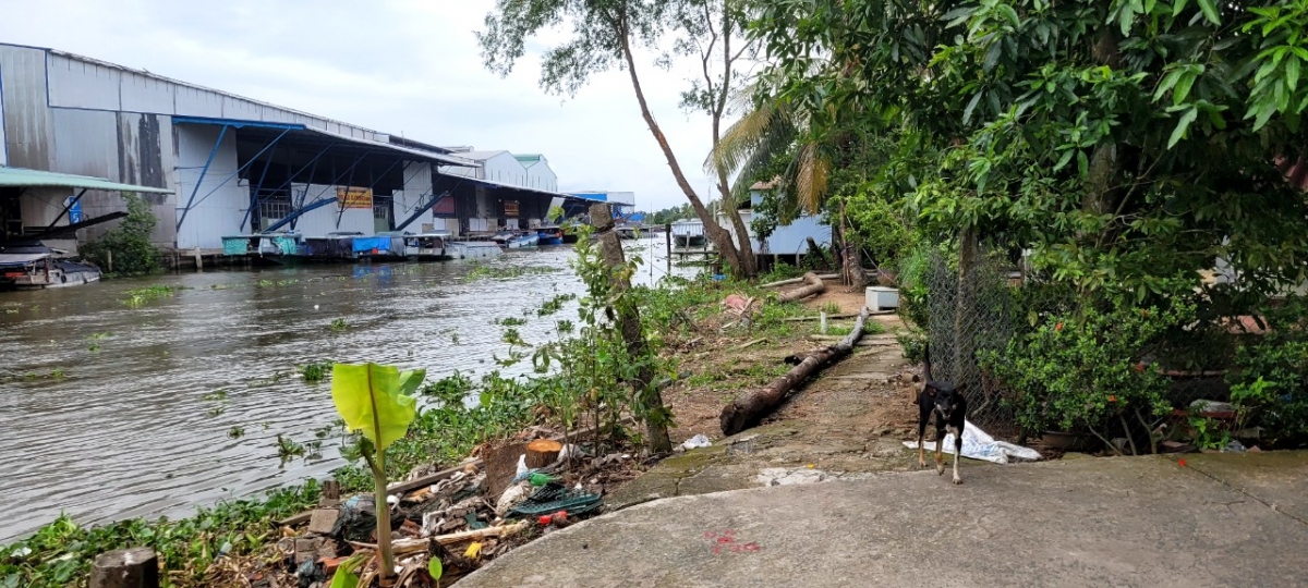 Tiền Giang khẩn trương khắc phục sạt lở cấp bách từ vốn hỗ trợ của Chính phủ