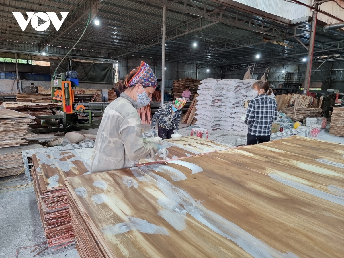 Xưởng gỗ không phép ở Yên Thế, Bắc Giang vẫn tiếp tục hoạt động