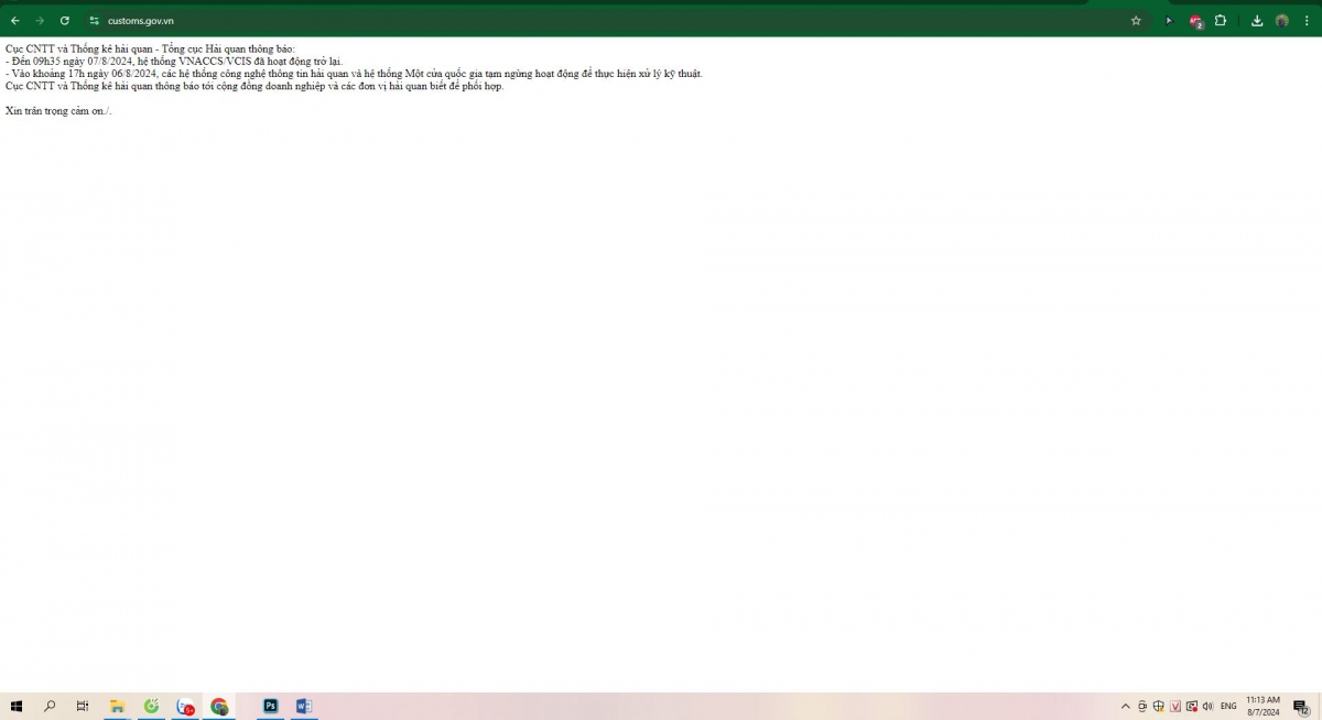 Hệ thống hải quan điện tử bị tê liệt