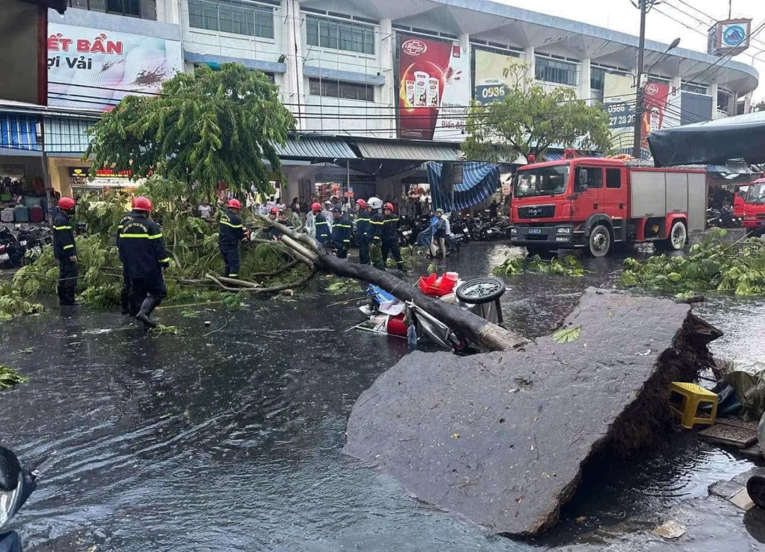 Mưa to, cây bật gốc đè 1 người bị thương ở Đà Nẵng