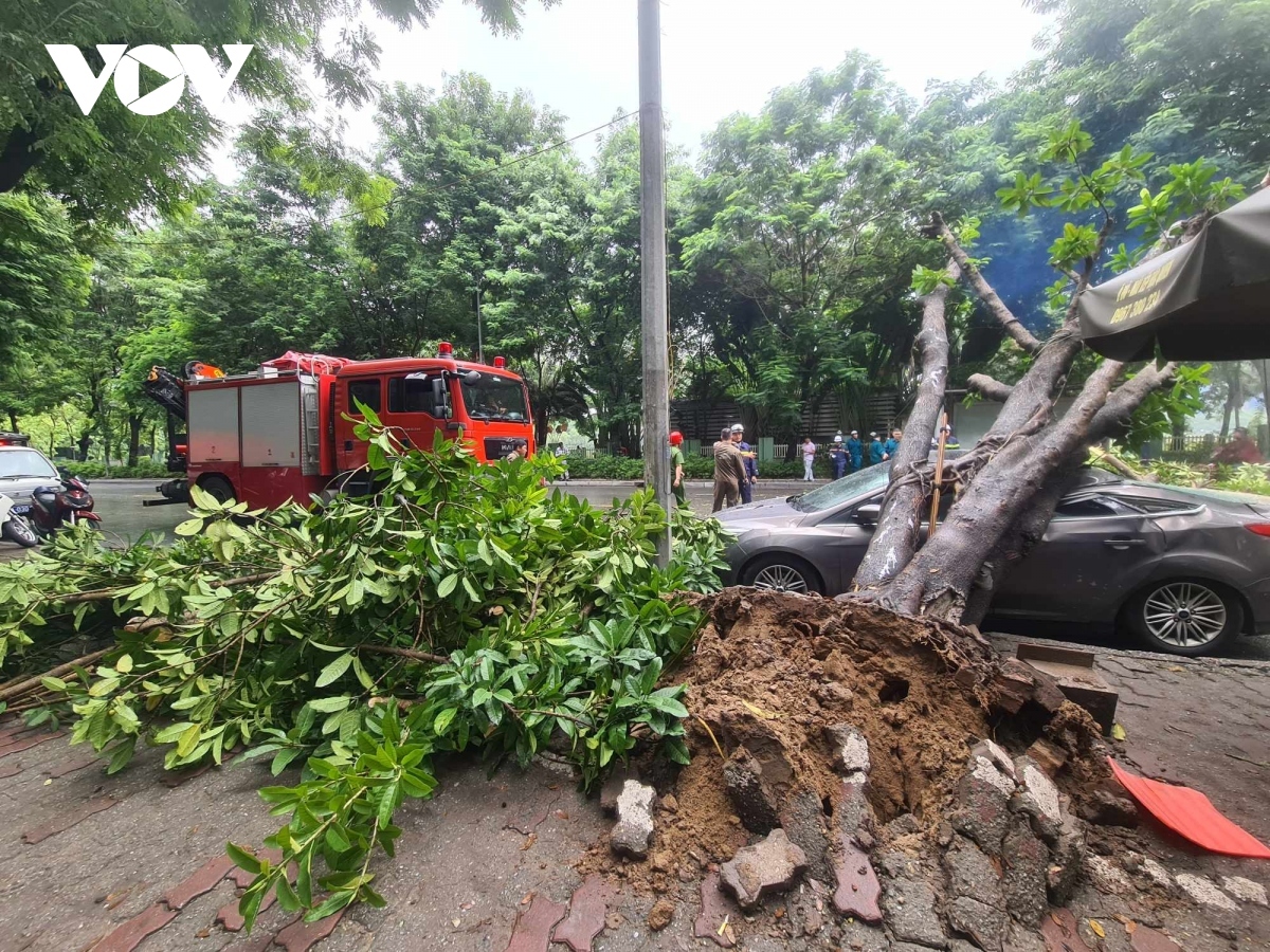 Không nên đỗ xe ô tô ở những khu vực sau đây khi mưa bão