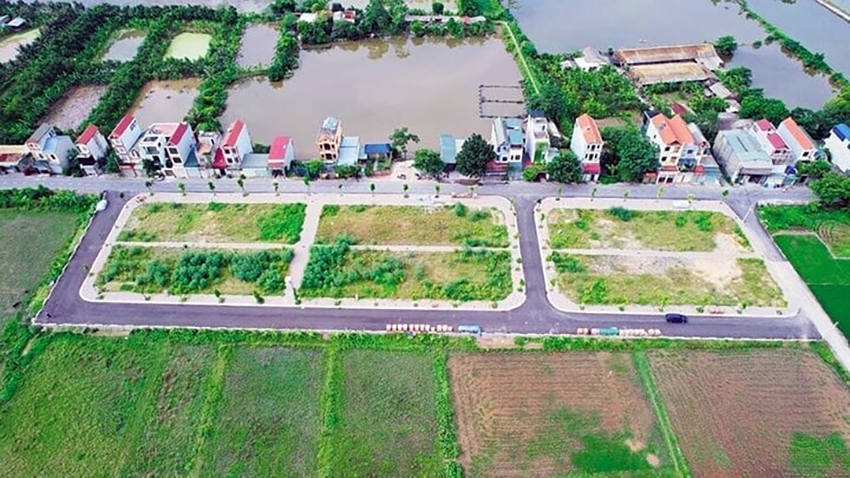 Tạm dừng đấu giá 114 lô đất ở huyện Thanh Oai, Hà Nội