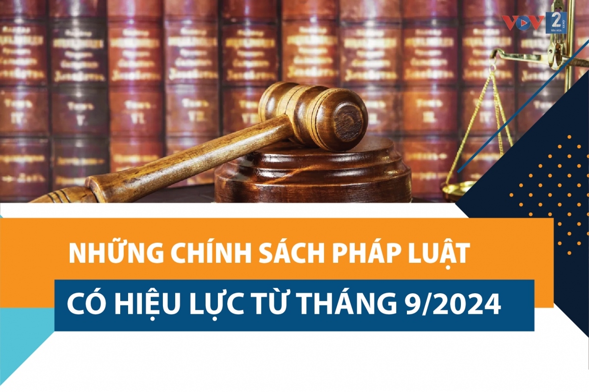 Những chính sách pháp luật có hiệu lực từ tháng 9/2024