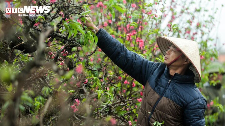 Bộ Nội vụ đồng ý đề xuất nghỉ 9 ngày Tết Nguyên đán 2025