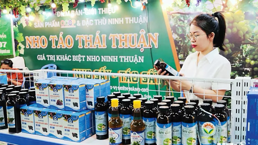 Ninh Thuận: Kinh nghiệm thành công trong phát triển thương mại điện tử