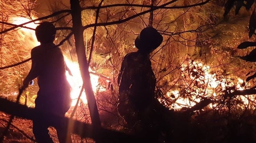Hơn 2.000 người tham gia chữa cháy rừng xuyên đêm ở Nghệ An