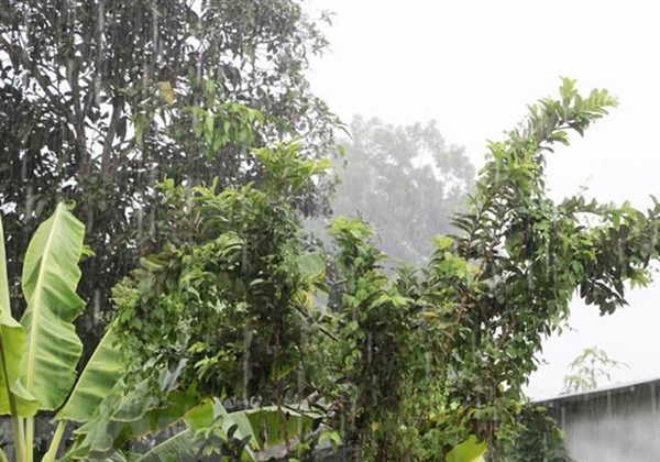 Bình Định liên tục đón “mưa vàng” bổ sung 6 triệu khối nước chống hạn