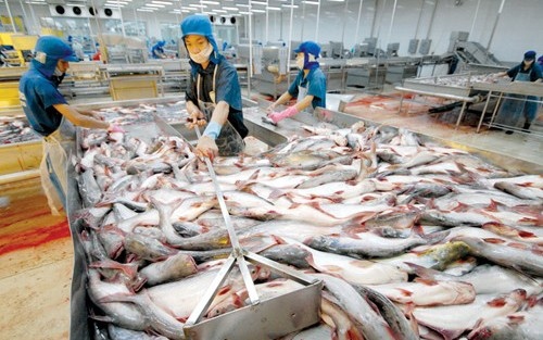Xuất khẩu cá tra sang EU tiếp tục sụt giảm mạnh do Covid-19