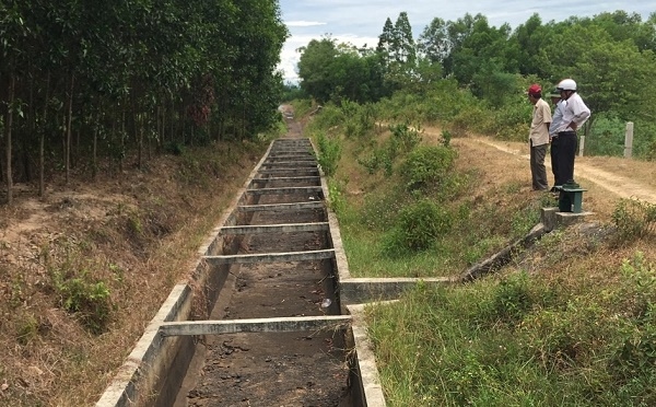 Hơn 2.000 ha lúa ở Thừa Thiên Huế nguy cơ bỏ hoang vì nắng hạn