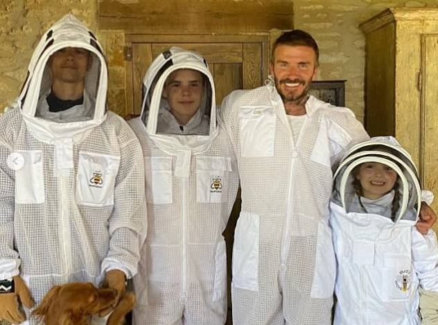 David Beckham và các con mặc đồ bảo hộ tiếp cận ong ngay trong sân nhà