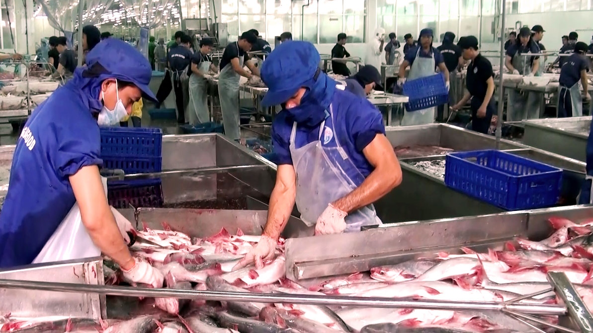 Mỹ áp thuế chống bán phá giá cá tra-basa Việt Nam về mức 0,15 USD/kg