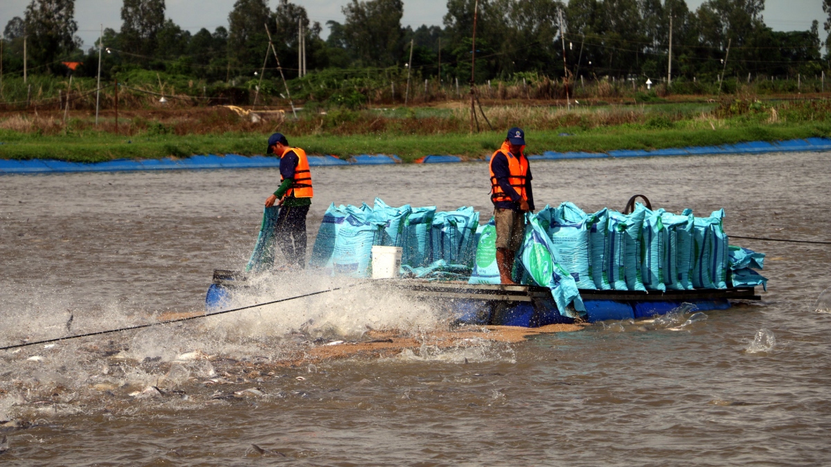 Không nên đề xuất chính sách chỉ phục vụ cho 1 nhóm doanh nghiệp