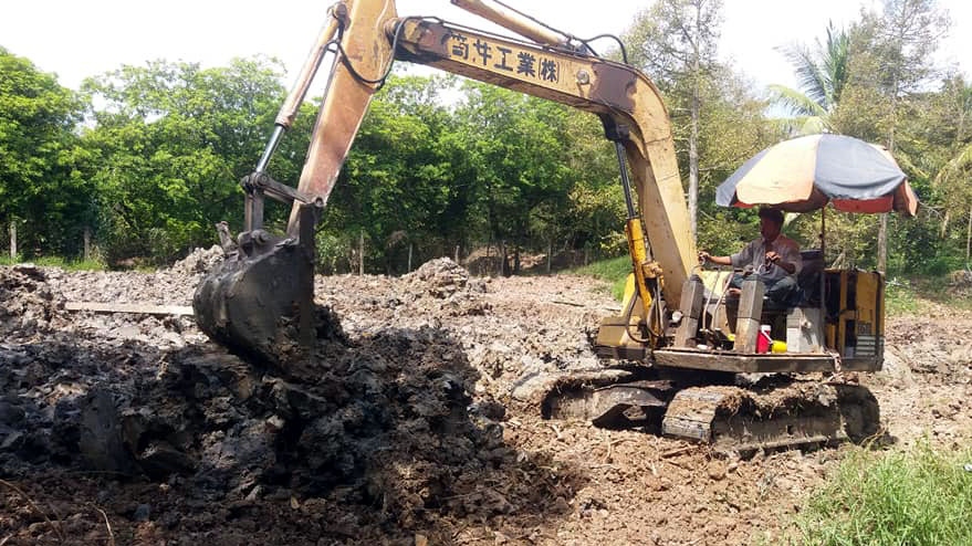 Vùng hạn mặn ĐBSCL tránh trồng cây kinh tế theo phong trào