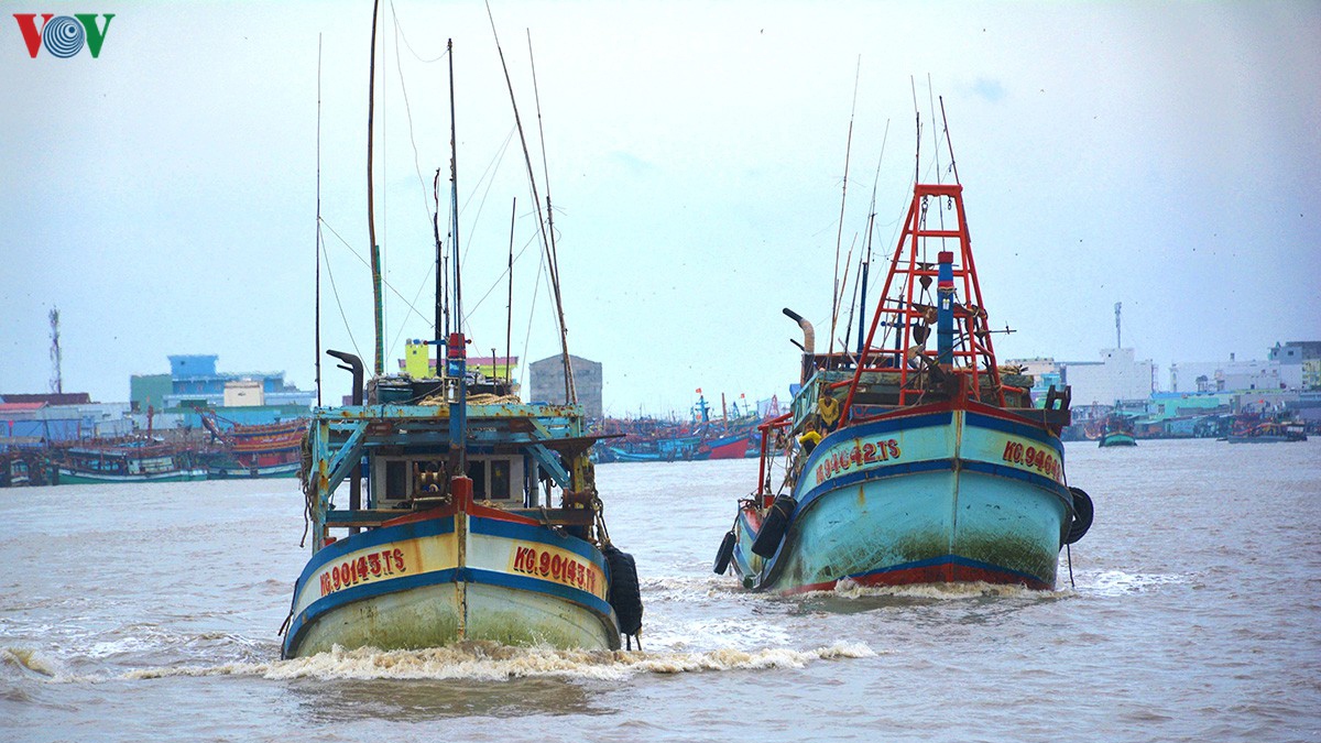 Gỡ khó cho khai thác, chế biến và tiêu thụ hải sản