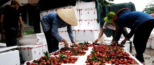 ​Giao thương trực tuyến nông sản, thực phẩm Việt Nam - Trung Quốc