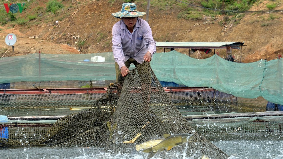 Quỳnh Nhai, nơi mặt nước đang "đẻ" ra tiền