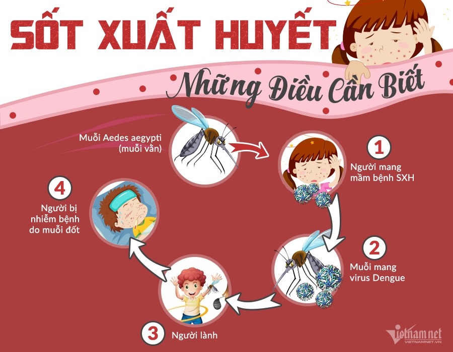 Tiền Giang ghi nhận 1.000 ca mắc sốt xuất huyết