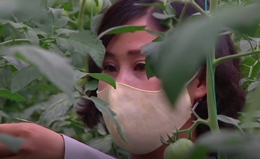 Video: Triều Tiên sản xuất rau “chức năng” cải thiện sức khỏe người dân