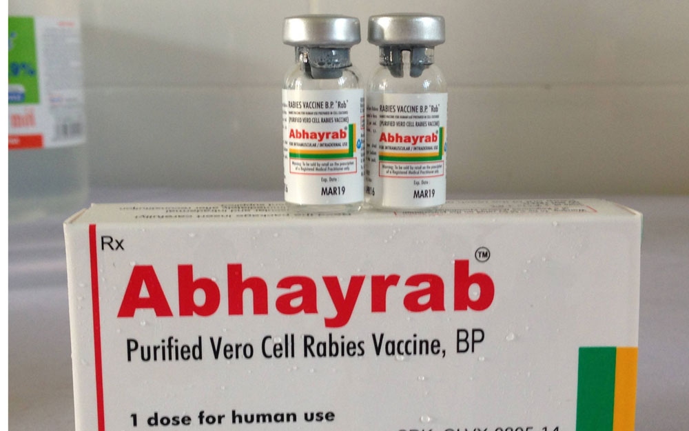 Thừa Thiên-Huế thiếu vaccine phòng bệnh dại phục vụ nhu cầu người dân