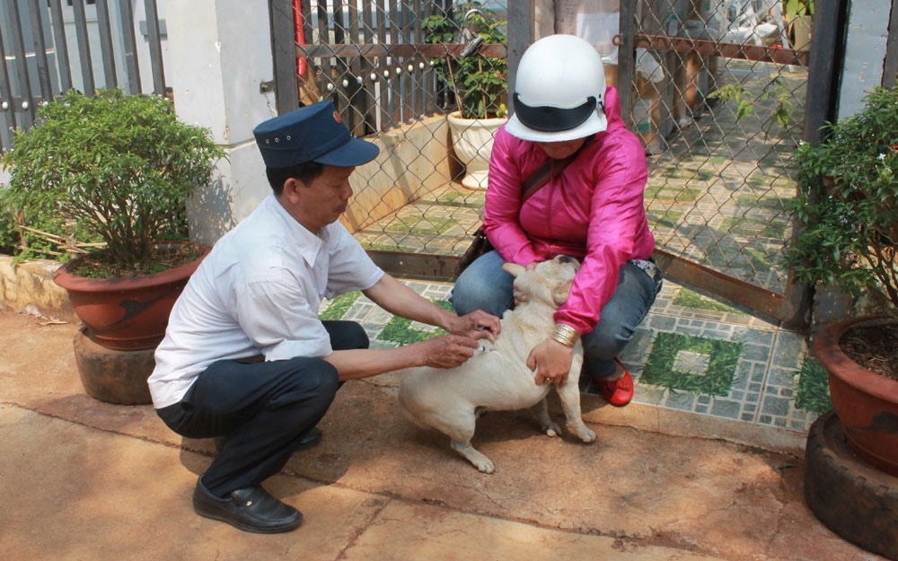 Bệnh nhân thứ 6 tại Đắk Lắk tử vong do bệnh dại