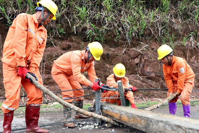 Lai Châu chủ động đảm bảo an toàn lưới điện mùa mưa lũ