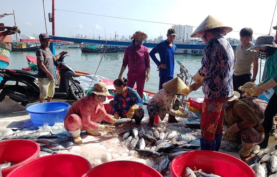 Ngư dân Khánh Hòa: Lệnh cấm đánh bắt cá của Trung Quốc là vô giá trị