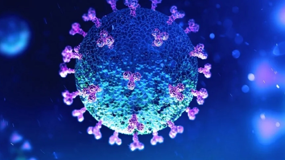 Virus SARS-CoV-2 có thể là “vật lai”