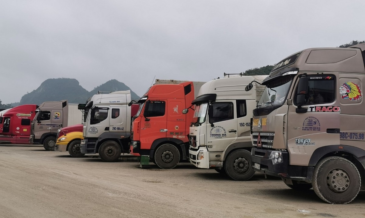 Lạng Sơn nỗ lực hạn chế ùn tắc hàng hóa tại cửa khẩu Tân Thanh