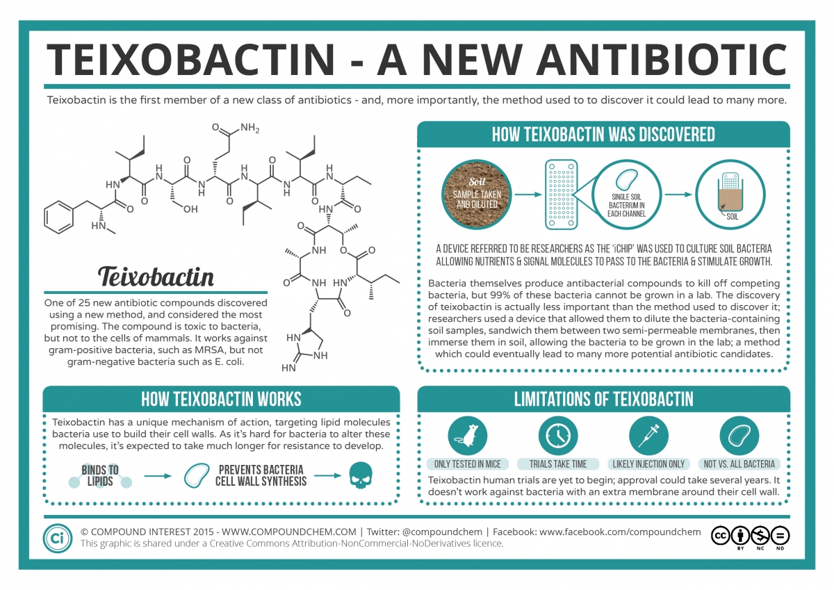 Teixobactin giúp điều trị biến chứng của bệnh Covid-19