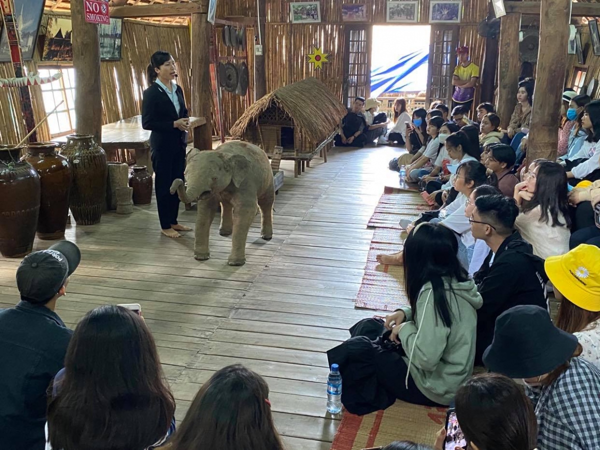 Đắk Lắk chấm dứt du lịch trải nghiệm cưỡi voi để bảo tồn hiệu quả