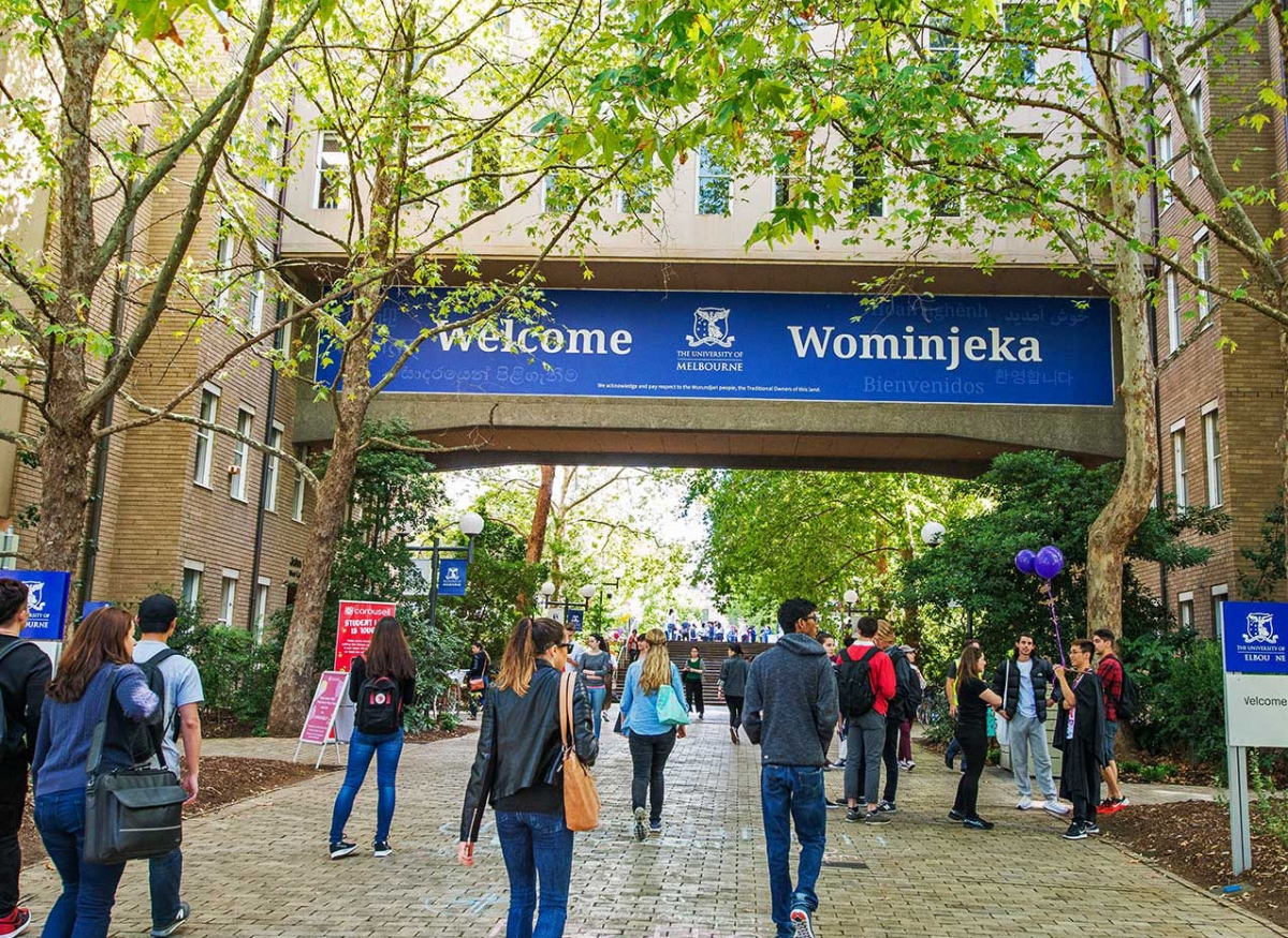 7 trường đại học Australia lọt top 100 trường đại học hàng đầu thế giới