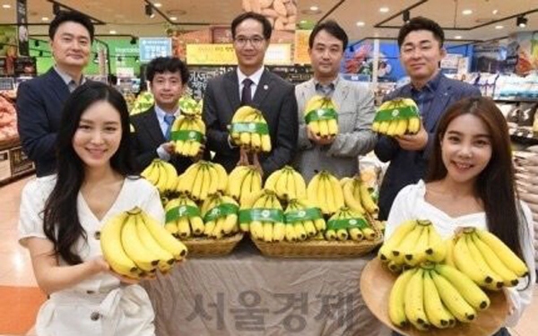Chuối Việt Nam lên kệ của siêu thị Lotte Mart tại Hàn Quốc
