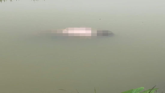 Phát hiện thi thể người đàn ông nổi lên dưới kênh nước ở Nghệ An