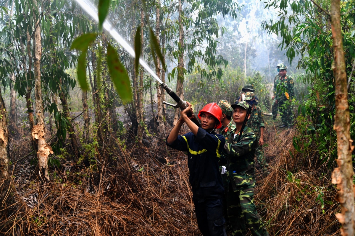 Khoảng 40ha rừng tràm 2,5 tuổi tại Kiên Giang bị cháy dữ dội