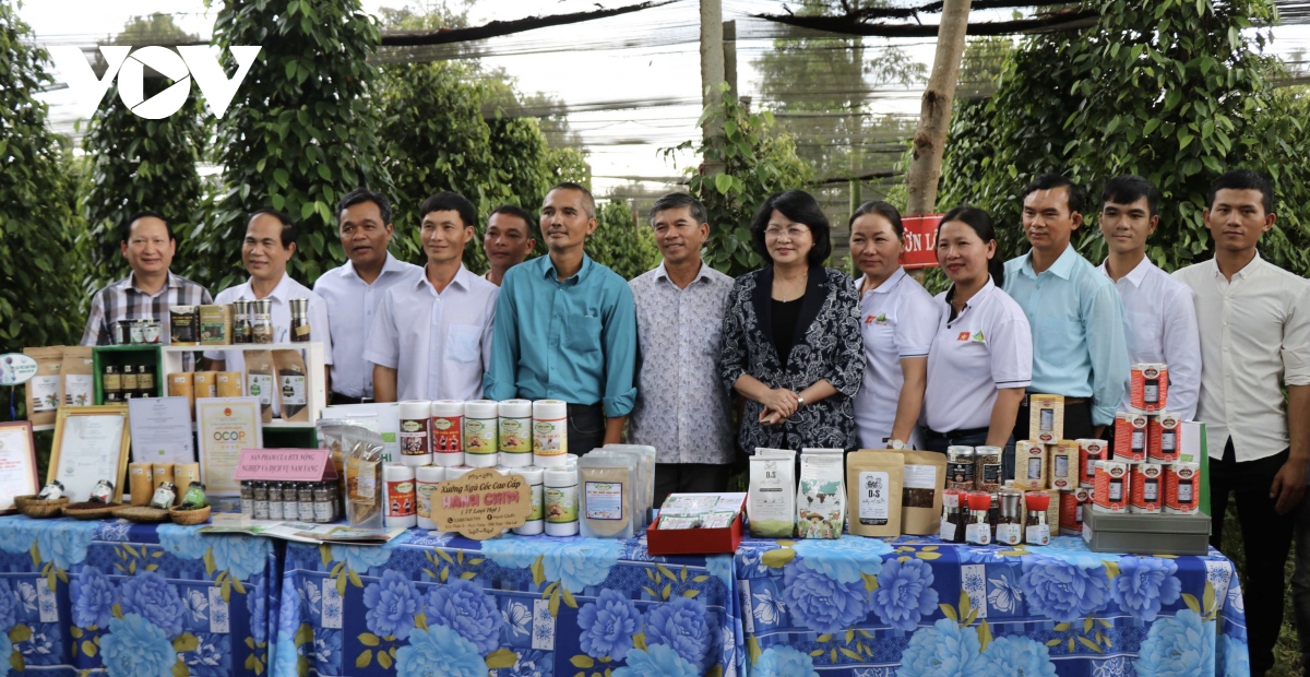 Phó Chủ tịch nước Đặng Thị Ngọc Thịnh làm việc tại huyện Đăk Đoa, Gia Lai