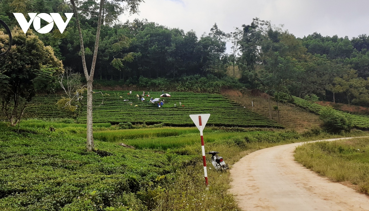 Thái Nguyên làm gì  để chương trình xóa nghèo bền vững đi vào cuộc sống