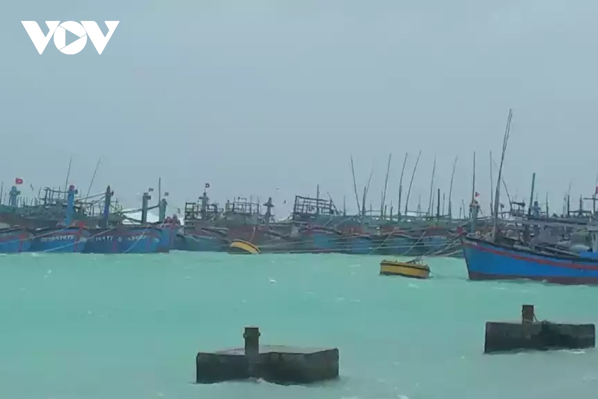 Hơn 1.000 ngư dân vào tránh bão số 9 tại quần đảo Trường Sa