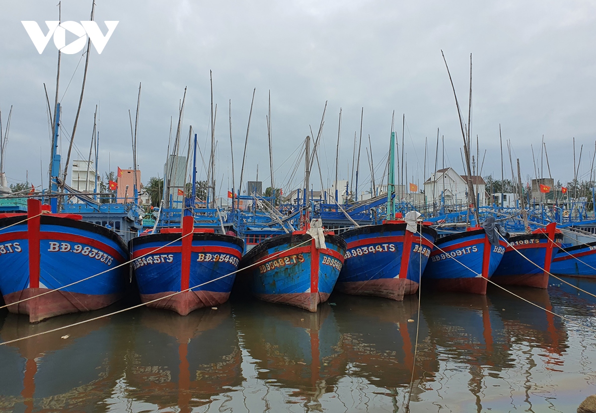 Bình Định kêu gọi cứu hộ 8 tàu cá đang gặp nguy hiểm