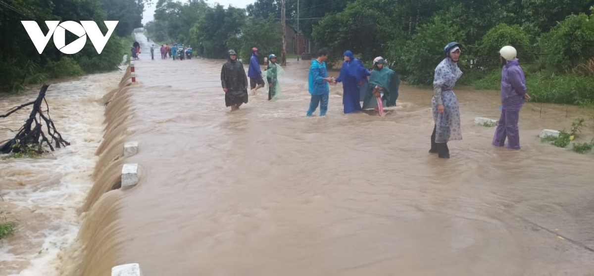 Ảnh: Bão số 12 đổ bộ vào Khánh Hòa, Phú Yên gây mưa lớn, nhiều cây xanh gãy đổ