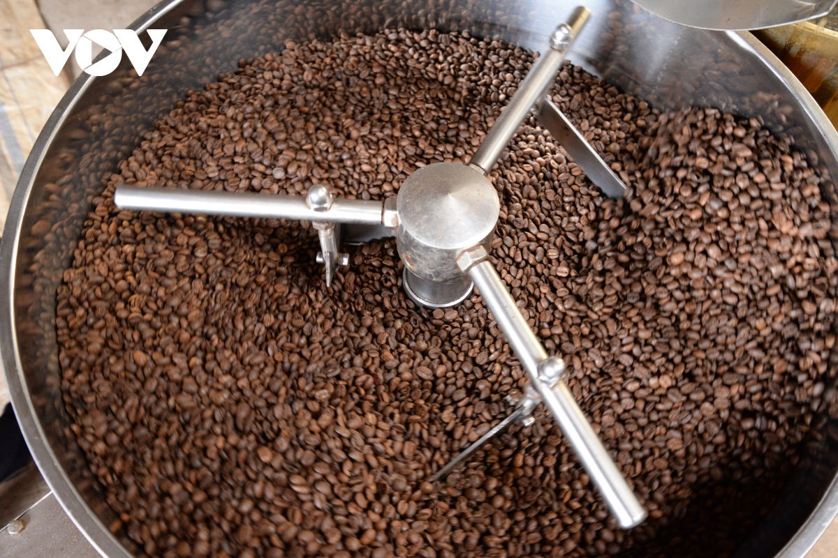 Sơn La hướng tới xây dựng sản phẩm cà phê OCOP 5 sao